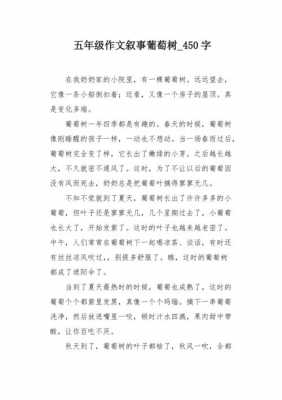 葡萄生长过程作文（葡萄生长过程作文300字）-图2