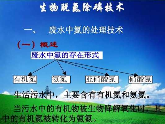 生物硝化的过程（生物硝化过程的主要影响因素）-图2