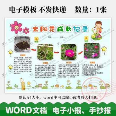 花成长的过程摘抄（花的成长经历）-图3