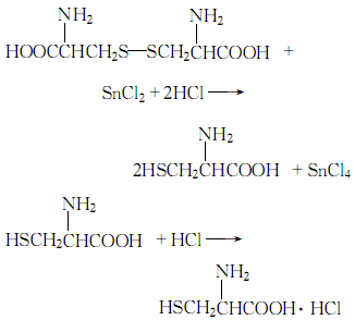 半胱氨酸水解过程（半胱氨酸如何溶解）-图2