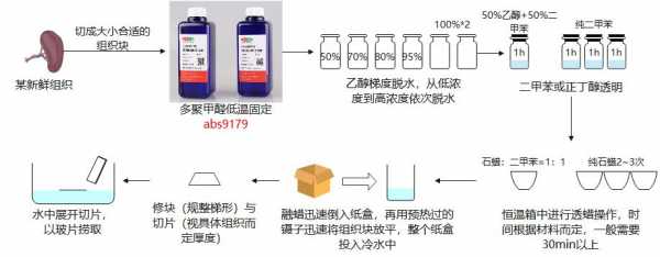 常规制作切片过程（切片制作流程）-图1