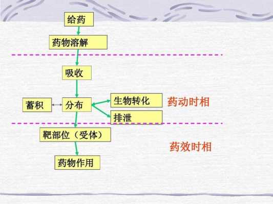 溶解药物过程（药物的溶解过程符合noyeswhitney方程）-图3