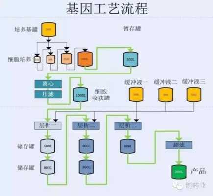 制药过程介绍（制药过程包括哪两个阶段）-图2