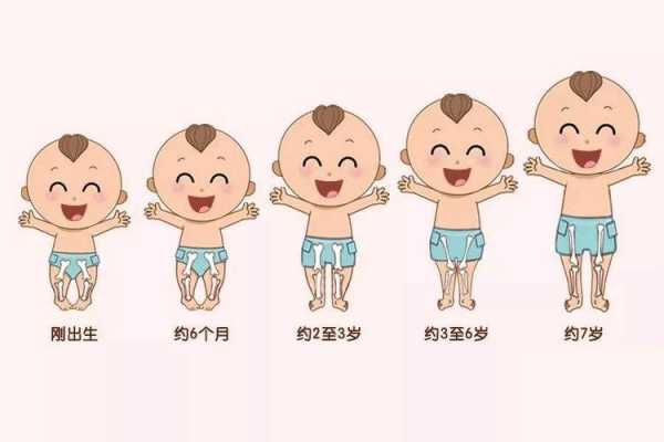 小宝宝生长过程（宝宝生长过程图片卡通）-图3