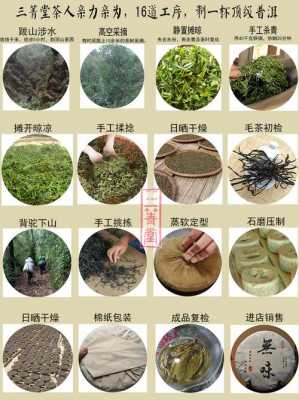 茶加工过程（茶的加工流程）-图1