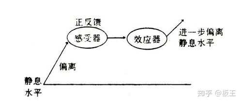 正负反馈的过程（正反馈和负反馈的过程）-图2