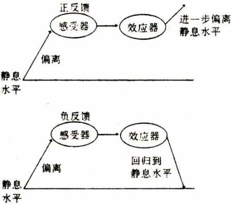 正负反馈的过程（正反馈和负反馈的过程）-图3