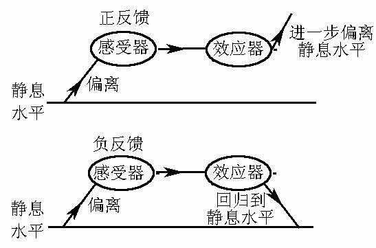 正负反馈的过程（正反馈和负反馈的过程）-图1