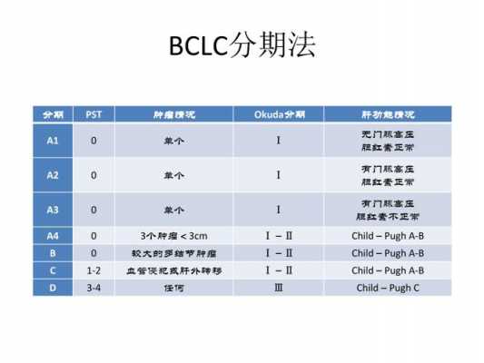 介绍分期过程（介绍分期过程怎么说）-图2