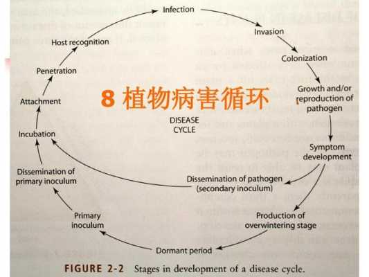 病害循环的过程（病害循环的过程包括）-图2