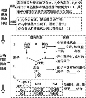 吸收属于什么分离过程（吸收分离的依据是什么）-图2