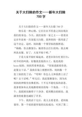 扫尘的过程作文（扫尘的作文300字）-图3