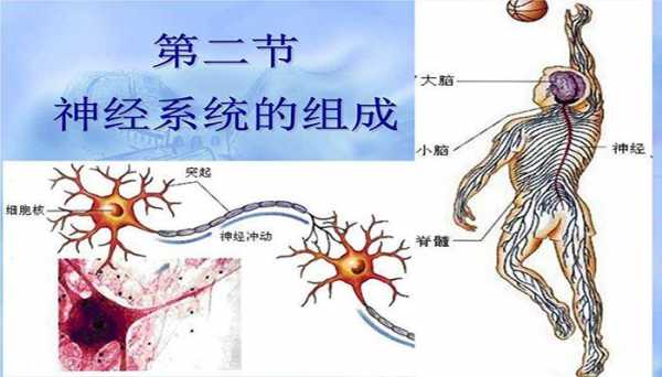 反射的大致过程（反射的大致过程是什么）-图3