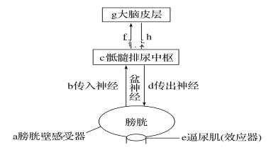 反射的大致过程（反射的大致过程是什么）-图2