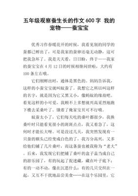 蚕的各个过程英语（蚕的生长过程英语作文）-图2