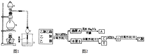 乙酸的消化过程（乙酸的活化）-图2