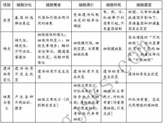 衰老细胞的凋亡过程（衰老细胞和凋亡细胞）-图1