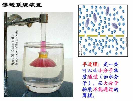 水分下渗过程模拟（水分渗透）-图2