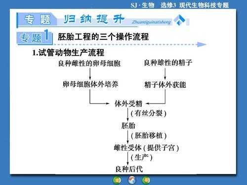 试管动物的基本过程（试管动物的流程图）-图1