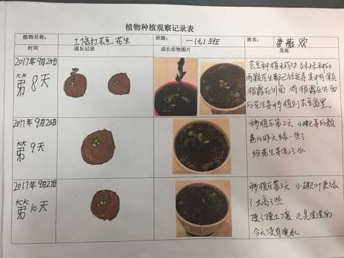 植物生长要几个过程（植物生长要几个过程呢）-图3