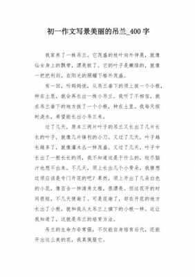 种吊兰的过程作文（种吊兰的过程作文400字）-图2