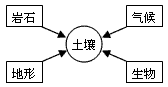 成土过程自然带（自然成土因素有哪些）-图2