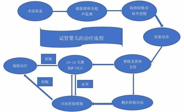 试管短方案过程（试管短方案详细流程及用药）-图1