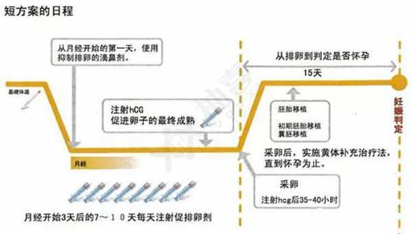 试管短方案过程（试管短方案详细流程及用药）-图2