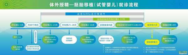 试管短方案过程（试管短方案详细流程及用药）-图3