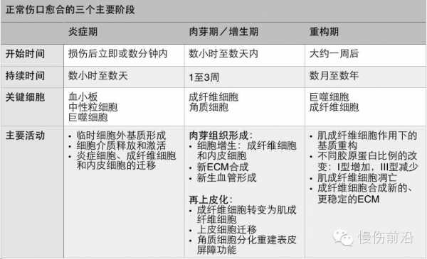 愈合的生理过程（生理性愈合过程包括）-图2