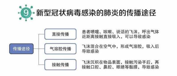 病毒传染过程不包括（病毒传染过程不包括）-图2