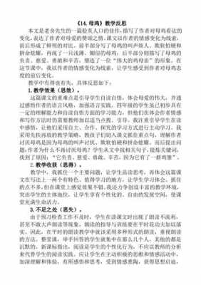 母鸡教学过程记录（母鸡教学案例及反思）-图3