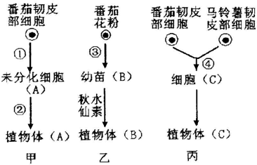 生物过程的实质是（生物过程什么意思）-图2