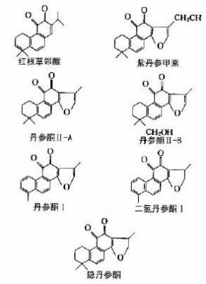 中药丹参提取浓缩过程（中药丹参提取浓缩过程图）-图3