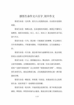 感悟生命过程的作文（感悟生命过程的作文题目）-图3