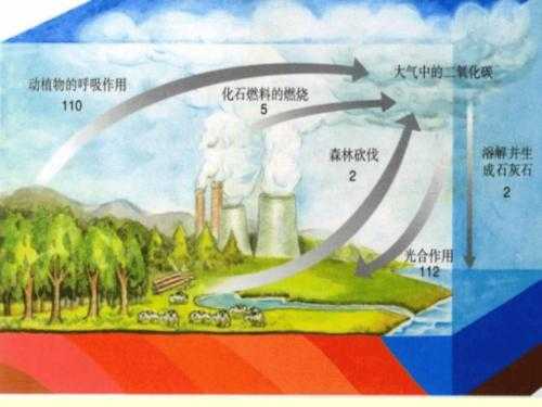 二氧化碳的形成过程（二氧化碳的形成过程视频）-图2