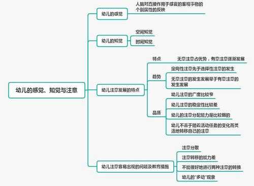 幼儿认知过程案例（幼儿认知发展活动）-图3