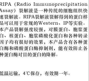 病毒裂解的过程（病毒裂解液主要成分）-图1