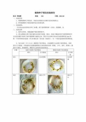 生物实验种子发芽过程（生物种子发芽实验报告过程）-图2