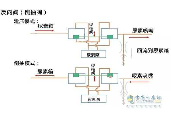 分解尿素的过程（如何分解尿素）-图2