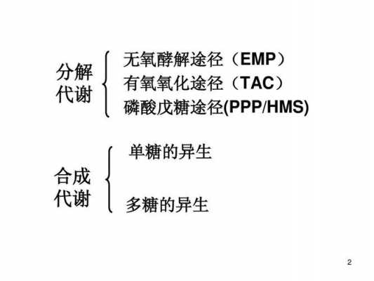 糖无养酵解过程（糖无氧酵解的生理意义）-图2