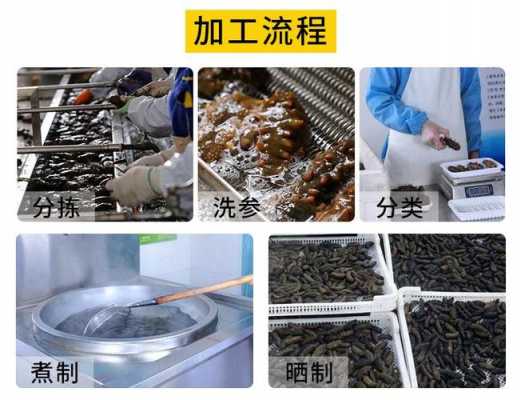 即食海参加工过程（即食海参加工工艺）-图2