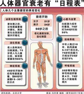 人体衰老过程图（人体衰老表现在哪些特征）-图1