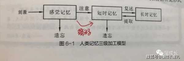 记忆过程的关系（记忆过程的三个环节及其相互关系）-图3