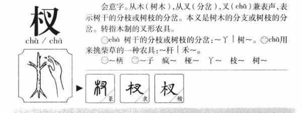 木变偏旁的过程（木做偏旁字形变得什么）-图1