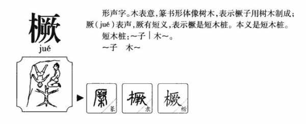 木变偏旁的过程（木做偏旁字形变得什么）-图2