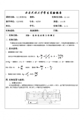 化工流动过程综合实验（化工流动过程综合实验实验报告）-图1