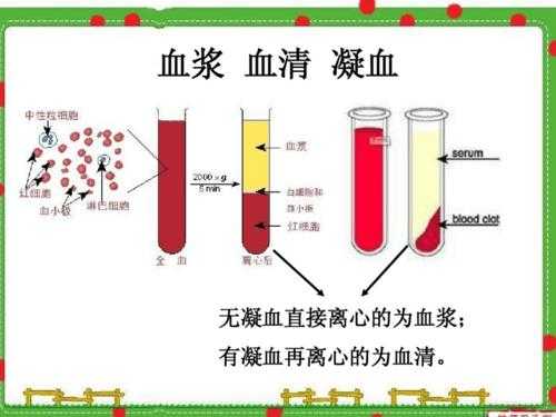 血清的过程（血清的解释）-图2