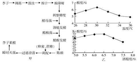 发酵过程测量乙酸（检测发酵过程是否产生酒精）-图1