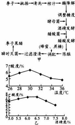 发酵过程测量乙酸（检测发酵过程是否产生酒精）-图2